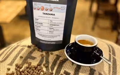 Unser neuer PEABERRY aus TANZANIA